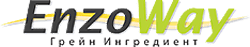 Логотип Enzoway